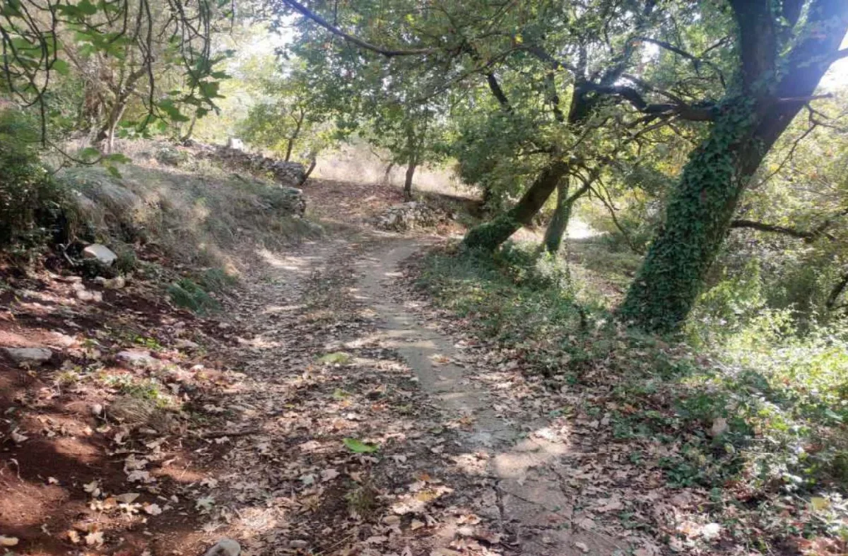 Quota 1/4 - Terreno agricolo a Maenza (LT)