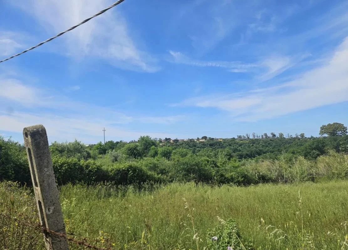 Terreno agricolo a Aprilia (LT)