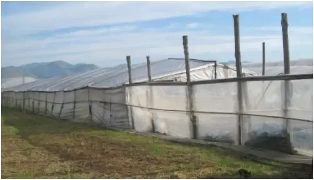 Terreno agricolo a Fondi (LT)