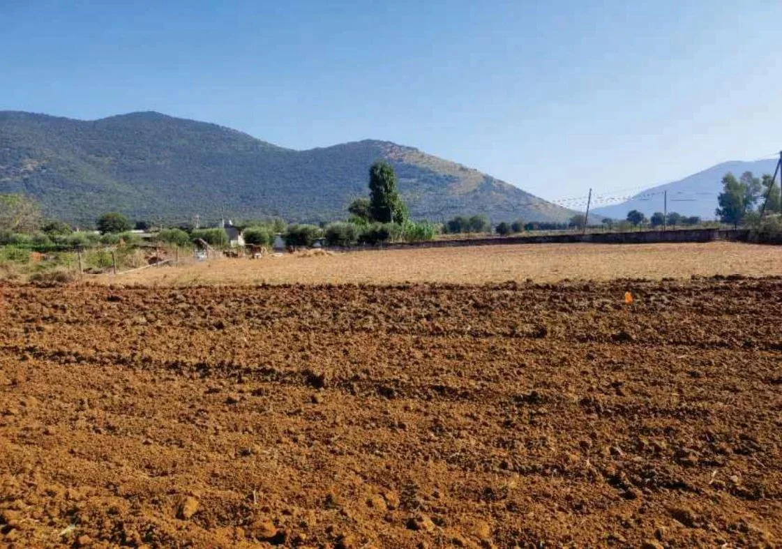 Terreno agricolo a Maenza (LT)