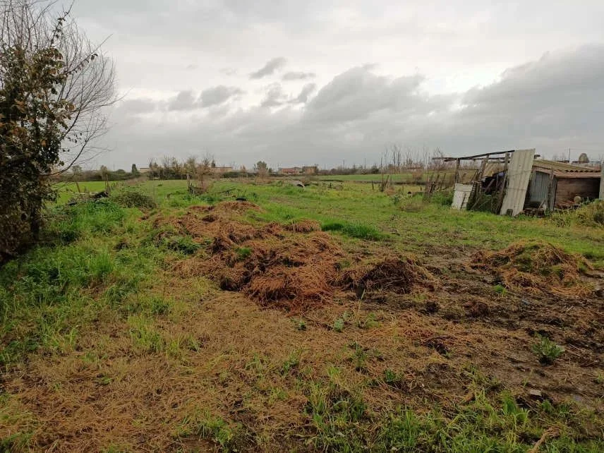 Terreno agricolo a Grazzanise (CE)