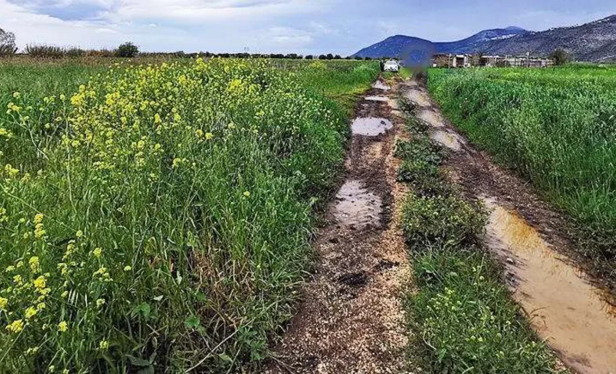Terreno agricolo a Sezze (LT)