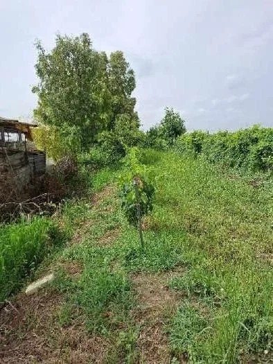 Complesso immobiliare a Santa Maria la Fossa (CE)