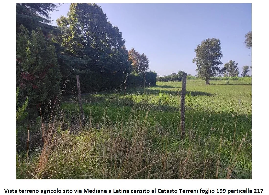 Quota 9/18 - Terreno agricolo a Latina (LT)