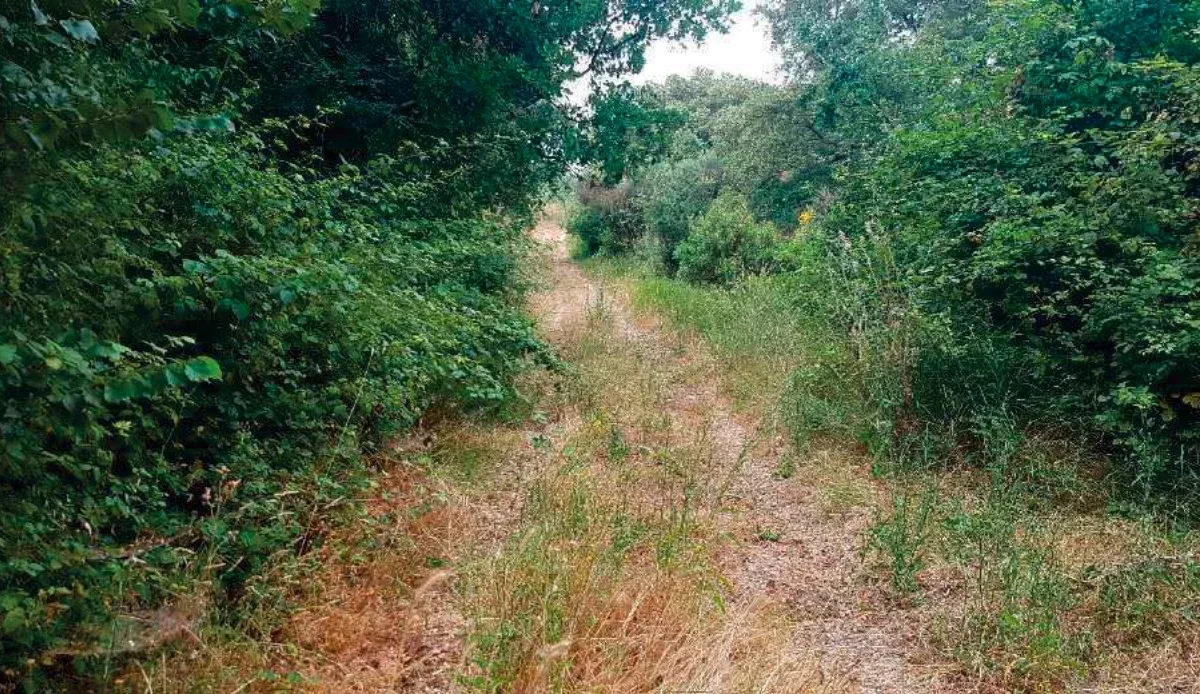 Terreno agricolo a Priverno (LT)