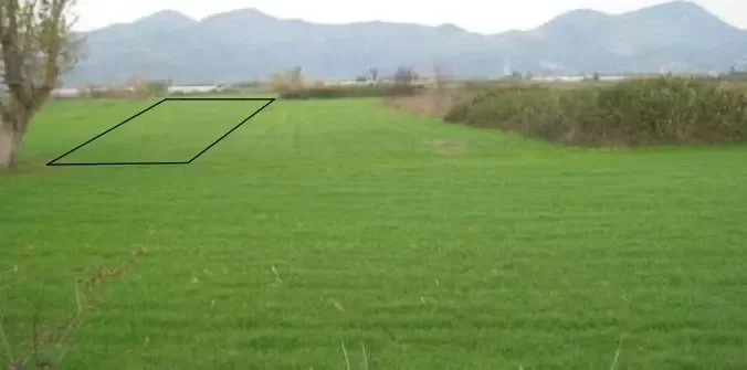 Terreno agricolo a Fondi (LT)