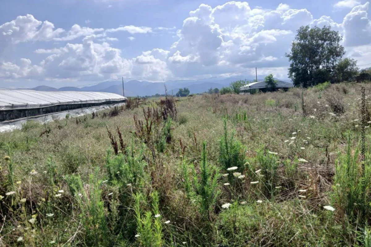 Terreno agricolo a Fondi (LT)