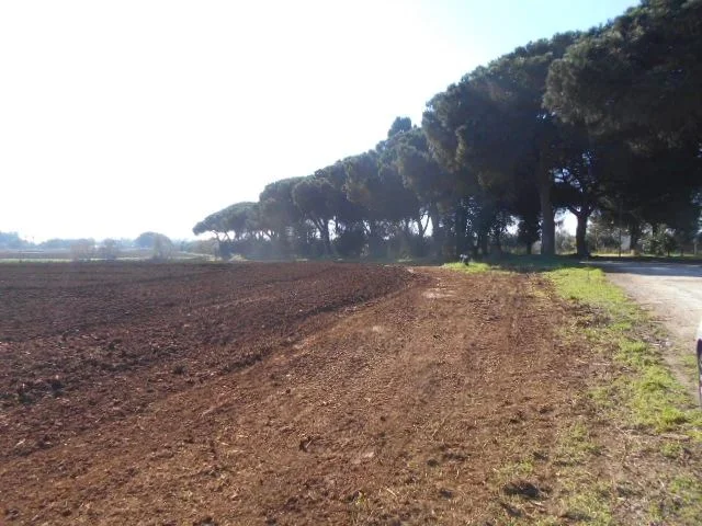Terreno agricolo a Latina (LT)