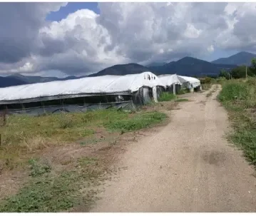 Terreno agricolo a Fondi (LT)
