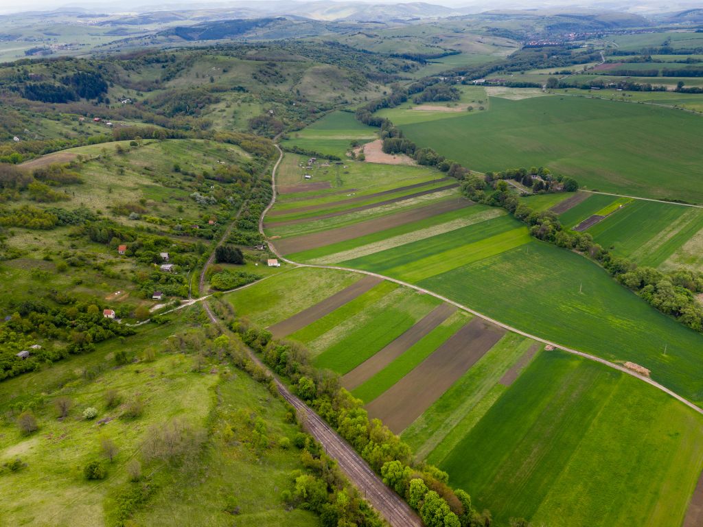 Nuda proprietà - Terreno agricolo a San Tammaro (CE)