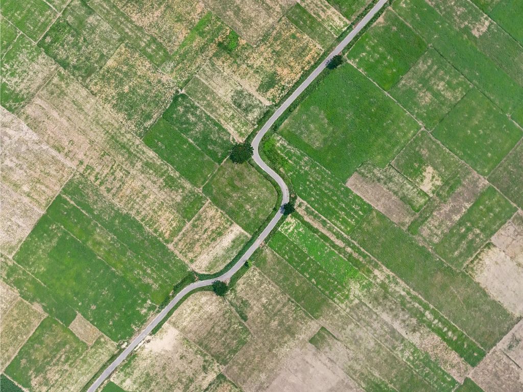 Terreno agricolo a Fondi (LT)